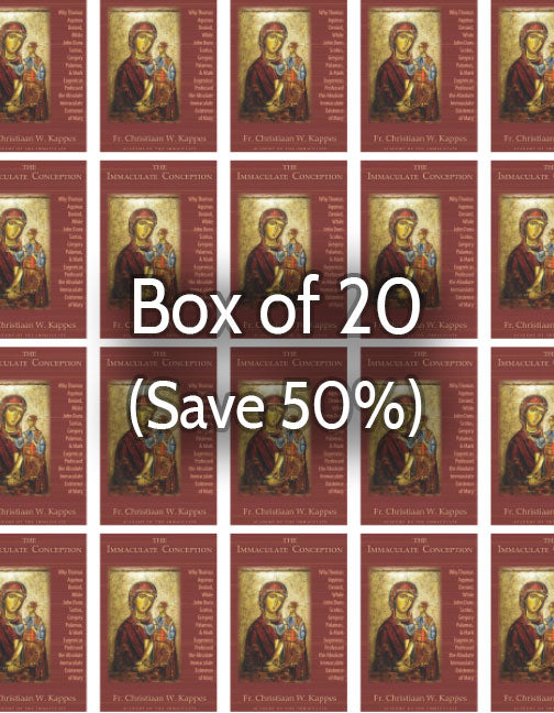The Immaculate Conception 50% bulk discount