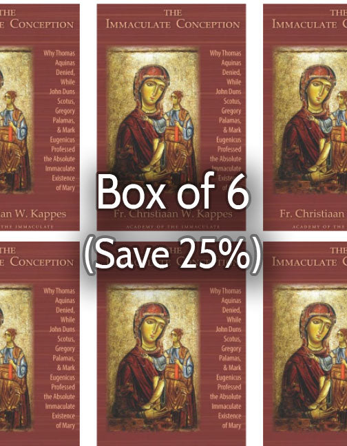 The Immaculate Conception 25% bulk discount