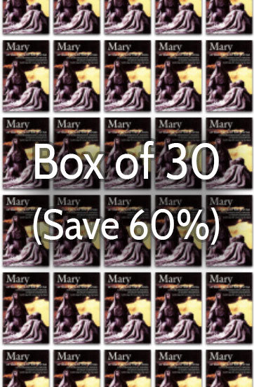Mary at the Foot of the Cross 1: Millennium with Mary 60% bulk discount