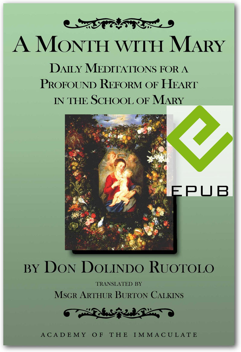 A Month With Mary Ebook