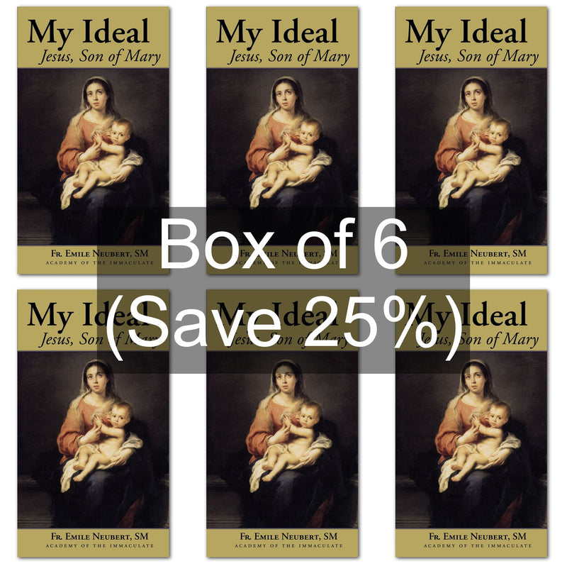 My Ideal: Jesus, Son of Mary