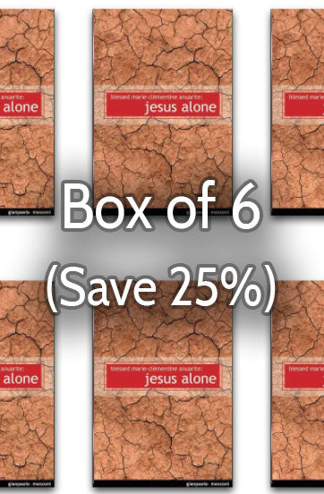 Jesus Alone: The Life of Blessed Marie-Clémentine Anuarite 25% bulk discount