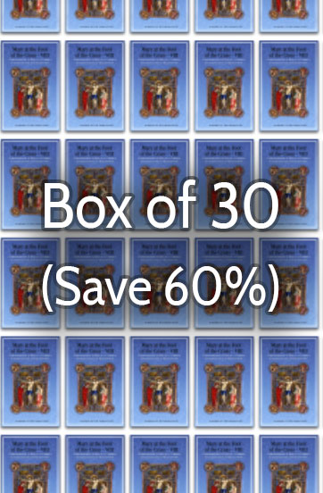 Mary at the Foot of the Cross 8: Understanding Redemption 60% bulk discount