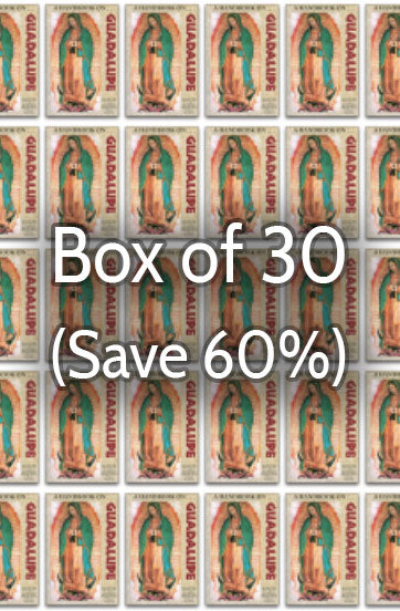 A Handbook on Guadalupe 60% Bulk Discount