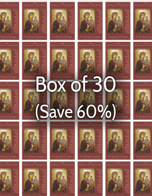 The Immaculate Conception 60% bulk discount