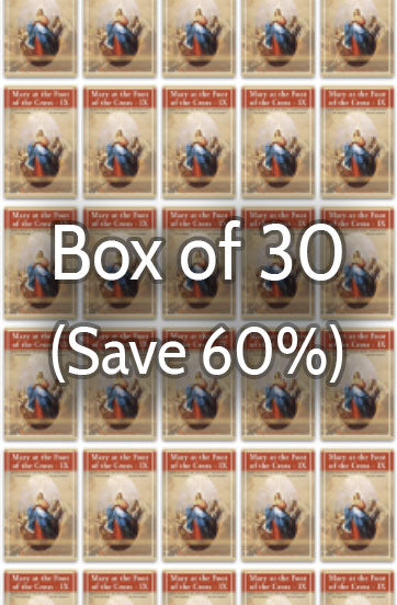 Mary at the Foot of the Cross 9: Mother of the Church 60% bulk discount