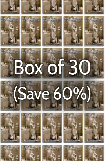 Mary and the Priestly Ministry 60% bulk discount