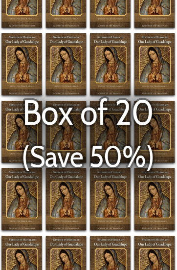 Mariological Studies in Honor of Our Lady of Guadalupe 50% bulk discount