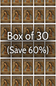 Mariological Studies in Honor of Our Lady of Guadalupe 60% bulk discount