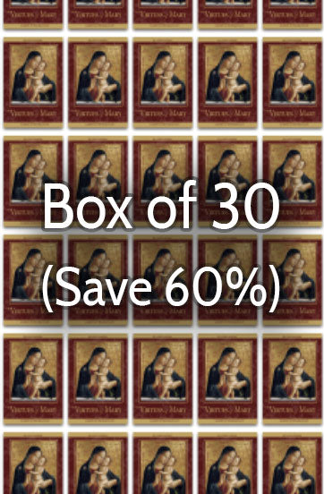The Virtues of Mary 60% bulk discount